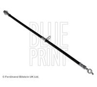 Blueprint ADT353155 Brake Hose Front Left 555mm Length Fits Toyota RAV4