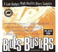 Blues Compilation - Blues Busters Vol 2