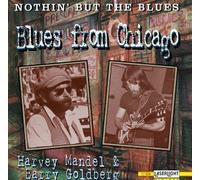 Blues From Chicago By Harvey Mandel,Barry Goldberg (1995-10-24)