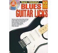 Blues Guitar Licks Learn To Play The Electric Guitar Tutor Book CD Lessons G2