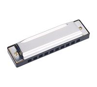 Blues Harmonica, 10 Hole Metal Mouth Organ Diatonic Harmonica Blues Harp Mouth Organ for Adults Kids Beginners Professionals