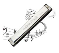 Blues Harmonica in C 24 Holes 20 Tunes Diatonic Harmonicas Musical Instrument Stainless Steel Mini Key of C Mouth Organ Father's Day Back to school Gift for Kids Adults Beginners Performers