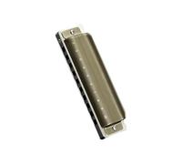 Blues Harmonica Mouth Organ 10 Hole C Key with Case Diatonic Harmonica for Professional Player Beginner Students gifts Beginner Harmonica(610)