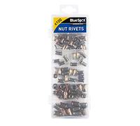 BlueSpot 40602 100 Piece Nut Rivets (M3-M6)