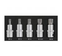 BlueSpot 5 PCE Spline Bit 1/2" Set (M10-M18) (EVA FOAM) Knurled Sockets