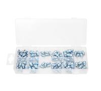 BlueSpot 70 piece Grease Nipple Set