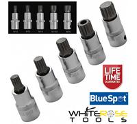BlueSpot Spline Socket Bit Set EVA Foam Tray 5pc 1/2" Drive M10-M18