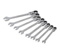 BlueSpot Tools 04300 Flexible Head Ratchet Set, 8 Piece