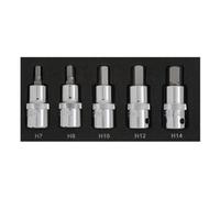 BlueSpot Tools Blue Spot Tools - 5Pce 1/2" Hex Bit Set (H7-H14) (Eva Foam)