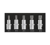 BlueSpot Tools Blue Spot Tools - 5Pce 1/2" Spline Bit Set (M10-M18) (Eva Foam)