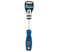 BlueSpot Tools Blue Spot Tools - Ph2 X 100mm Screwdriver