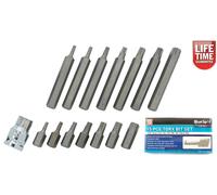 Blue Spot 1511 Torx Bit, Silver, Set of 15 Pieces