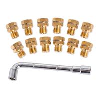 BlueStars GRLP4 LP Gas Conversion Kit, Natural Gas to Propane Conversion Kit with 12 Brass Orifices and Wrench - Compatible with Frigidaire Kenmore Electrolux Range/Cooktop/Stove with Instruction