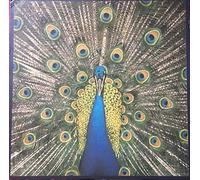 Bluetones, the - Expecting to Fly [VINYL]