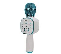Bluetooth Microphone Reverb Sound Effect Support Bluetooth U Disk 2000mAh for Singing Party Metal Blue