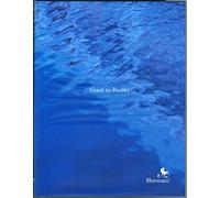 Bluewater: Vision to Reality