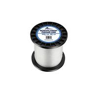 BLUEWING Monofilament Fishing Line Dia. 0.8mm 80 lbs 500 Yards Invisible Thin Diameter Mono Fish Wire String, Clear