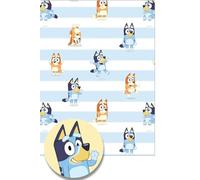 Bluey 4 Sheets & 4 Tags Gift Wrap Bundle