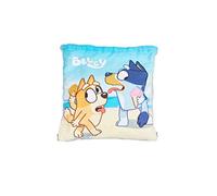 Bluey Beach Towel and Pull String Bag