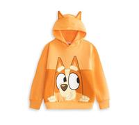 Bluey Bingo Kids Orange Hoodie | Long Sleeve Pullover with Cartoon Character Print | Unisex Children's Hooded Jumper | School Loungewear Top Merch - 3-4 Years