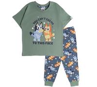 Bluey Boys and Bingo Short Sleeve Top Long Trousers Pyjamas Pjs Nightwear 2-3 Years Green
