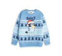Bluey Boys Blue Character Christmas Jumper - 3-4 Years