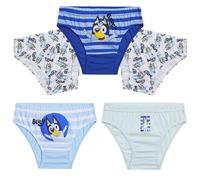 Bluey Boys Briefs, Comfortable Soft Breathable Underwear Pack of 5 Kids Underpants (4-5 Years, Blue)