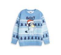 Bluey Boy's Christmas Jumper | Blue | Official Merch | Size: 5-6 Years Bluey Blue 5-6 Years
