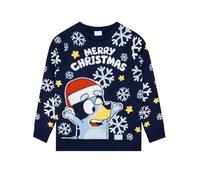 Bluey Boys Christmas Jumper, Kids Christmas Jumper, Xmas Jumpers 5-6 Years
