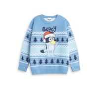 Bluey Boys Light Blue Christmas Jumper | Fair Isle Pattern Long Sleeve Crew Neck | Winter Wear Character | Festive Cartoon Knitwear for Kids Merch - 3-4 Years