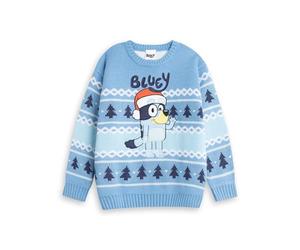 Bluey Boys Light Blue Christmas Jumper | Fair Isle Pattern Long Sleeve Crew Neck | Winter Wear Character | Festive Cartoon Knitwear for Kids Merch - 3-4 Years
