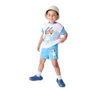 Bluey Boys Short Sleeve Shirt And Blue Cycling Shorts Kids Summer Clothes 100% Cotton Boys Sport Shorts And T-Shirt Set | Fun Cartoon Clothes (Standard, Blue, 2-3 Years)