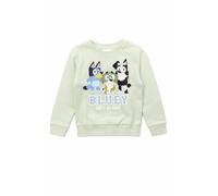 Bluey Boys Sweatshirt Featuring, Bingo & MacKenzie, Blue, Age 3-4 Years