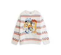 Bluey Christmas Jumper (Adult Beige) Beige M