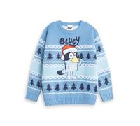Bluey Boys Light Blue Christmas Jumper | Fair Isle Pattern Long Sleeve Crew Neck | Winter Wear Character | Festive Cartoon Knitwear for Kids Merch - 6-7 Years