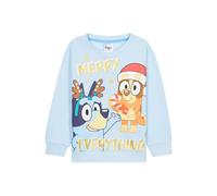 Bluey Girls Christmas Sweatshirt, Crewneck Sweater Long Sleeves Cosy Xmas Jumper (Blue, 5-6 Years)
