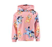 BlueY Girls Sweatshirt Classic Pullover Kids Hoodie Sizes 3 to 6 Years