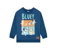 Bluey Jumper | Boys Sweatshirt | Heeler Family Boys Crew Neck Jumper |Blue 2-3 Years