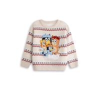 Bluey Kids Unisex Cream Heeler Family Christmas Jumper, Bingo, Bandit and Chilli | Classic Long Sleeve Crew Neck | Kids Christmas Wear for Festive Fun Merch - 5-6 Years