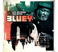 Bluey Life Between the Notes CD NEW