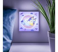 Bluey Night Light
