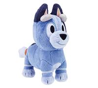Bluey Plush Socks Bluey Friends New Character 2021 Toddler Kids