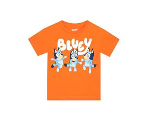 Bluey Tshirt | Soft Cotton Boys’ T-Shirts | Short Sleeve Boys T Shirt | Orange 5-6 Years