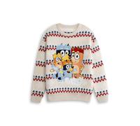 Bluey Unisex Beige Character Christmas Jumper - X-Large