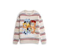 Bluey Unisex Cream Heeler Family Christmas Jumper | Long Sleeve Crew Neck Sweater, Bingo, Bandit and Chilli | Holiday Wear for Adults | Festive Cartoon Character Merch - X-Large