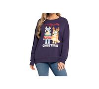 Bluey Christmas Sweatshirt, Matching Christmas Sweatshirts, Girls And Womens Xmas Jumpers, Sizes Small To XX-Large