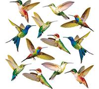 Blulu 18 Pieces Large Size Hummingbird Window Clings Anti-Collision Window Clings Decals to Prevent Bird Strikes on Casement Glass Non Adhesive Vinyl Cling Hummingbird Stickers