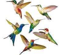 Blulu 6 Pieces Large Size Hummingbird Window Clings Anti-Collision Decals to Prevent Bird Strikes on Window Glass Non Adhesive Vinyl Cling Hummingbird Stickers(6 Pieces)
