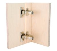 Blum Clip Top 110 Degree Face Frame, Inset Hinge with BLUMOTION (Set of 2)