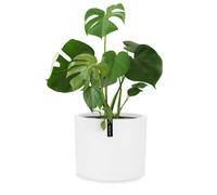Blumfeldt Planter